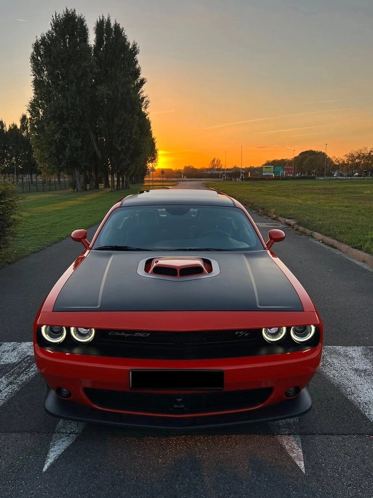 DODGE Challenger R/T 50 7