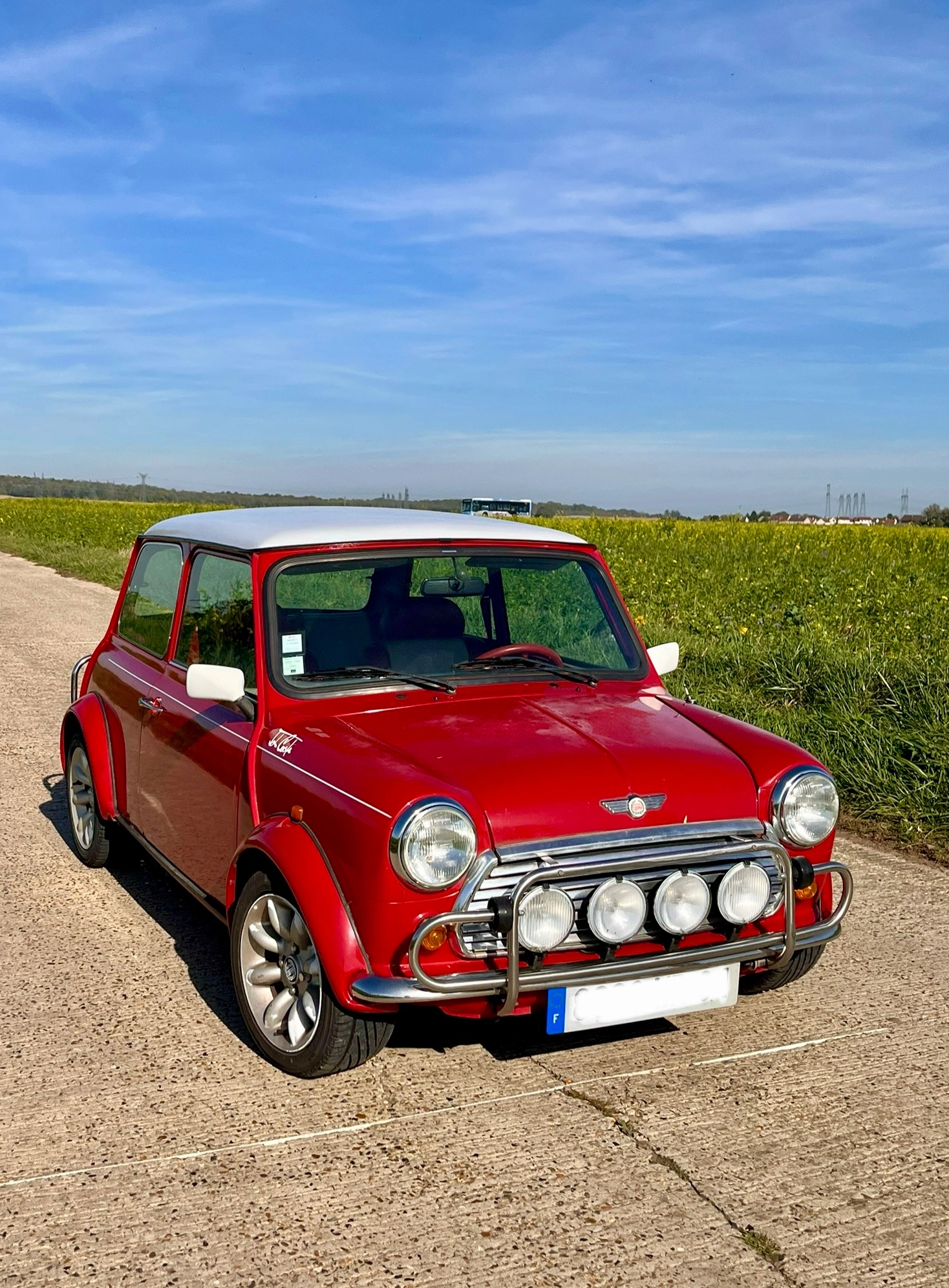 MINI Monte Carlo  0