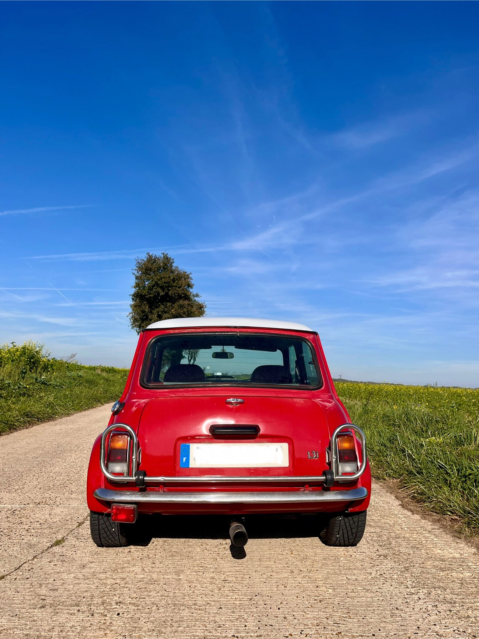 MINI Monte Carlo  2