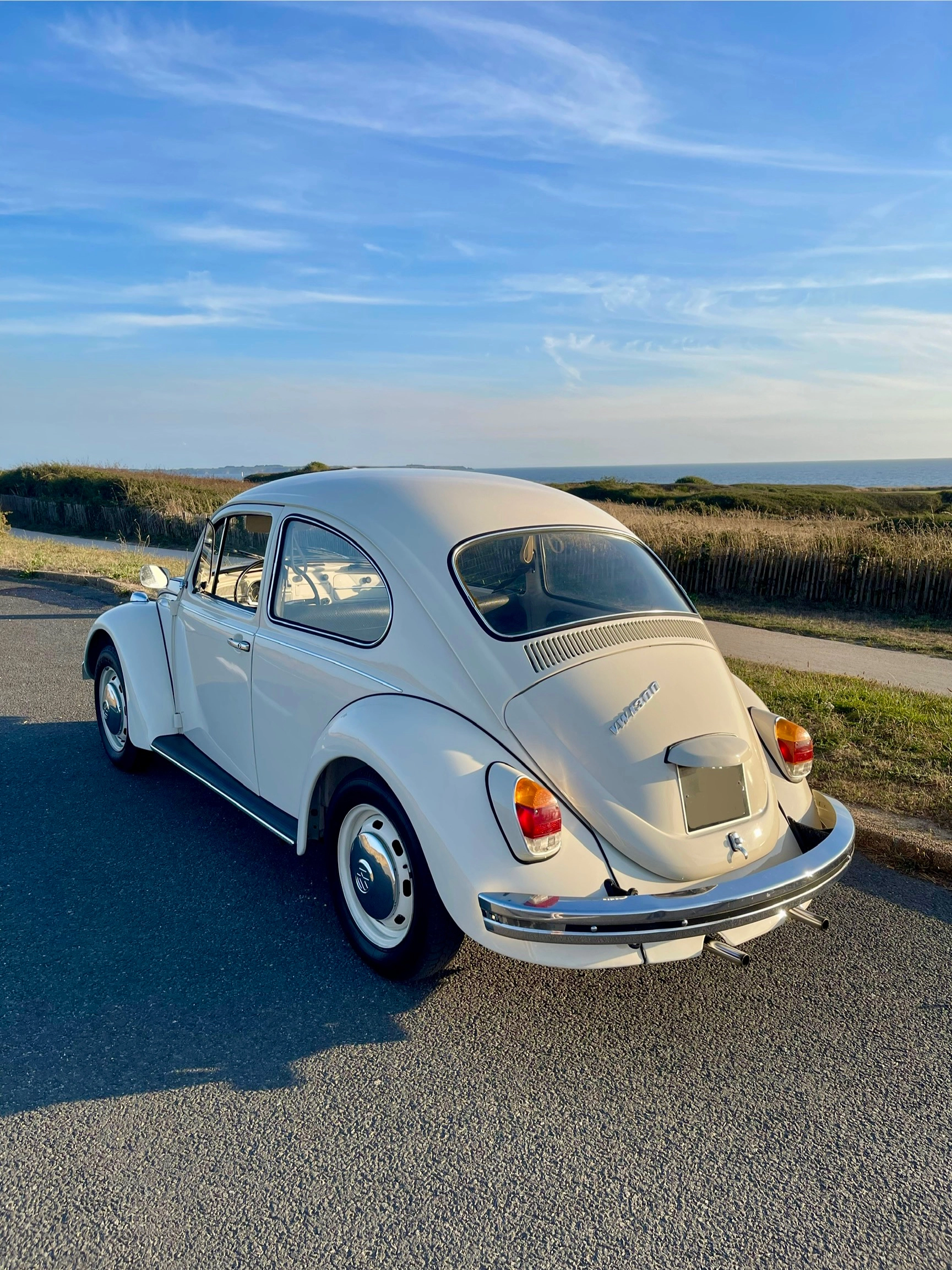 VOLKSWAGEN Coccinelle 1