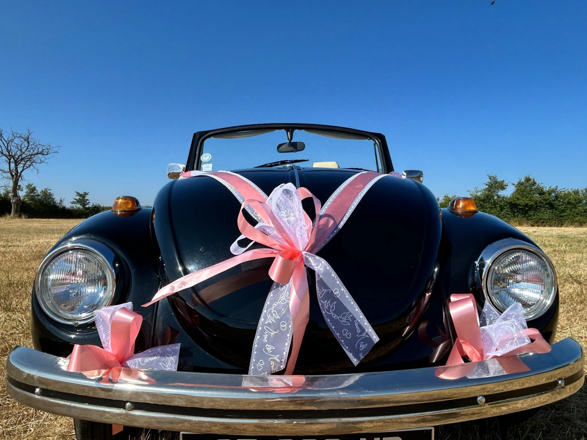 VOLKSWAGEN coccinelle 8