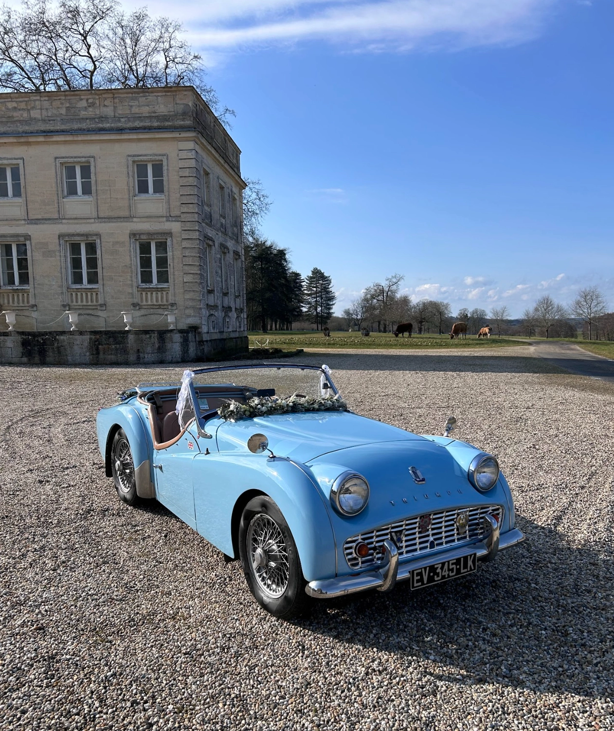 TRIUMPH TR3 3