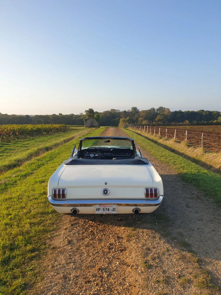 FORD Mustang 1
