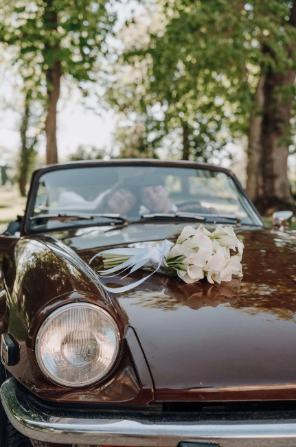 TRIUMPH Spitfire 1500FH 3