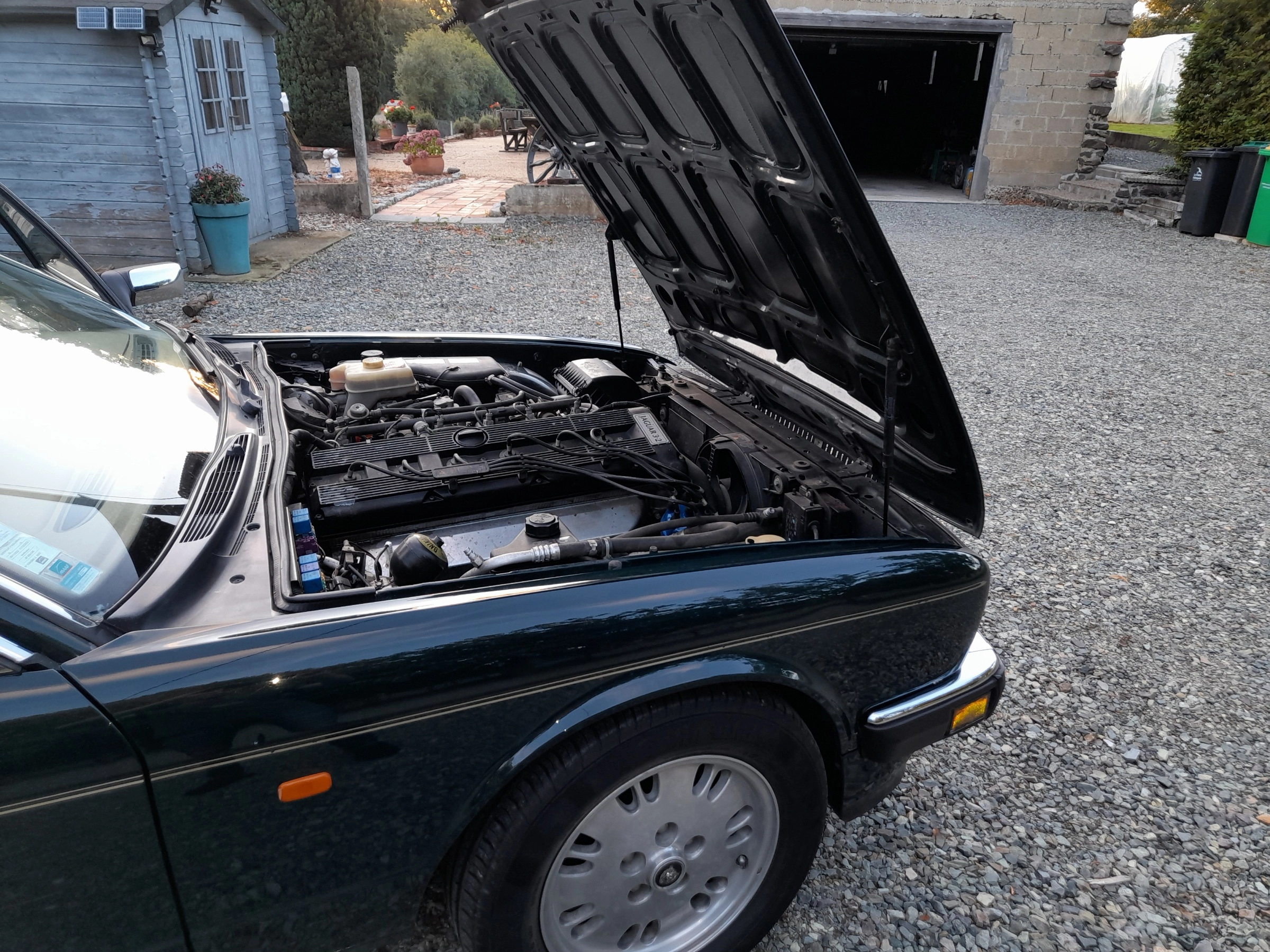 JAGUAR Xj40 7