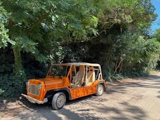 MINI Moke  1