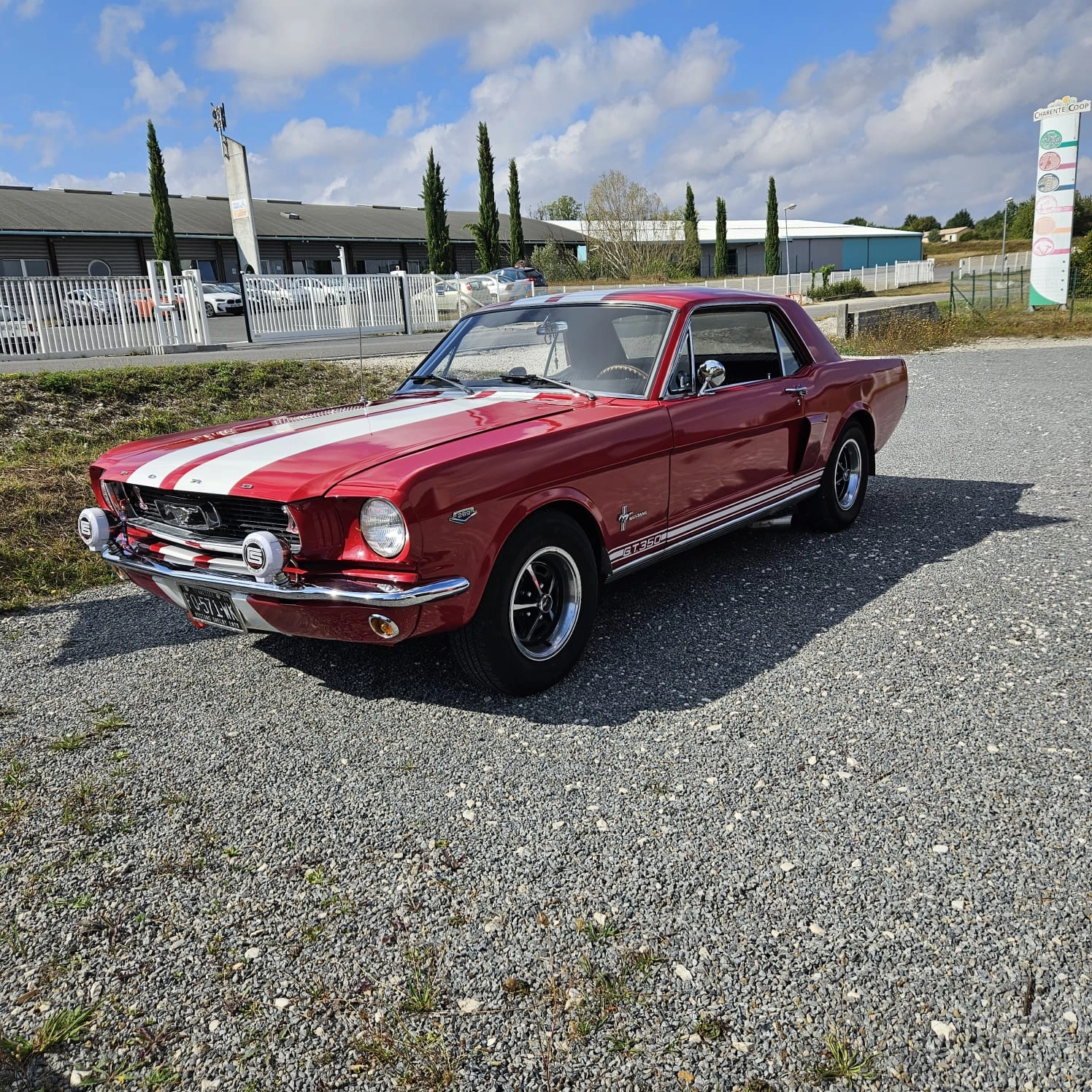 FORD Mustang 1