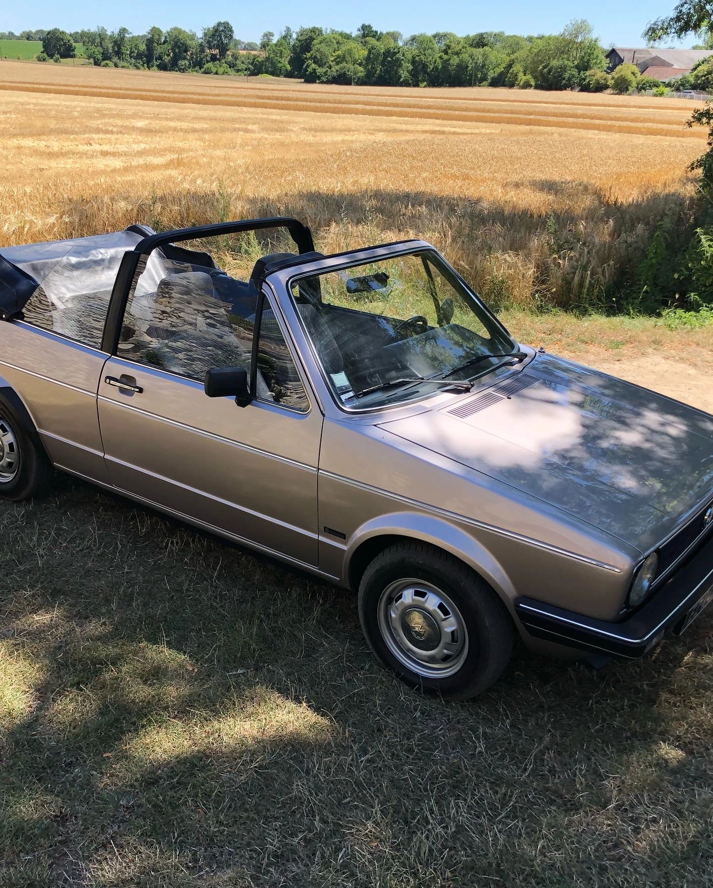 VOLKSWAGEN Golf cabriolet  1