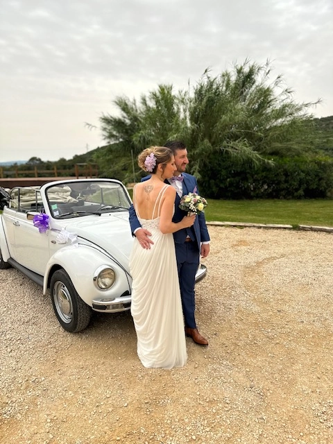 VOLKSWAGEN Coccinelle Cabriolet 2