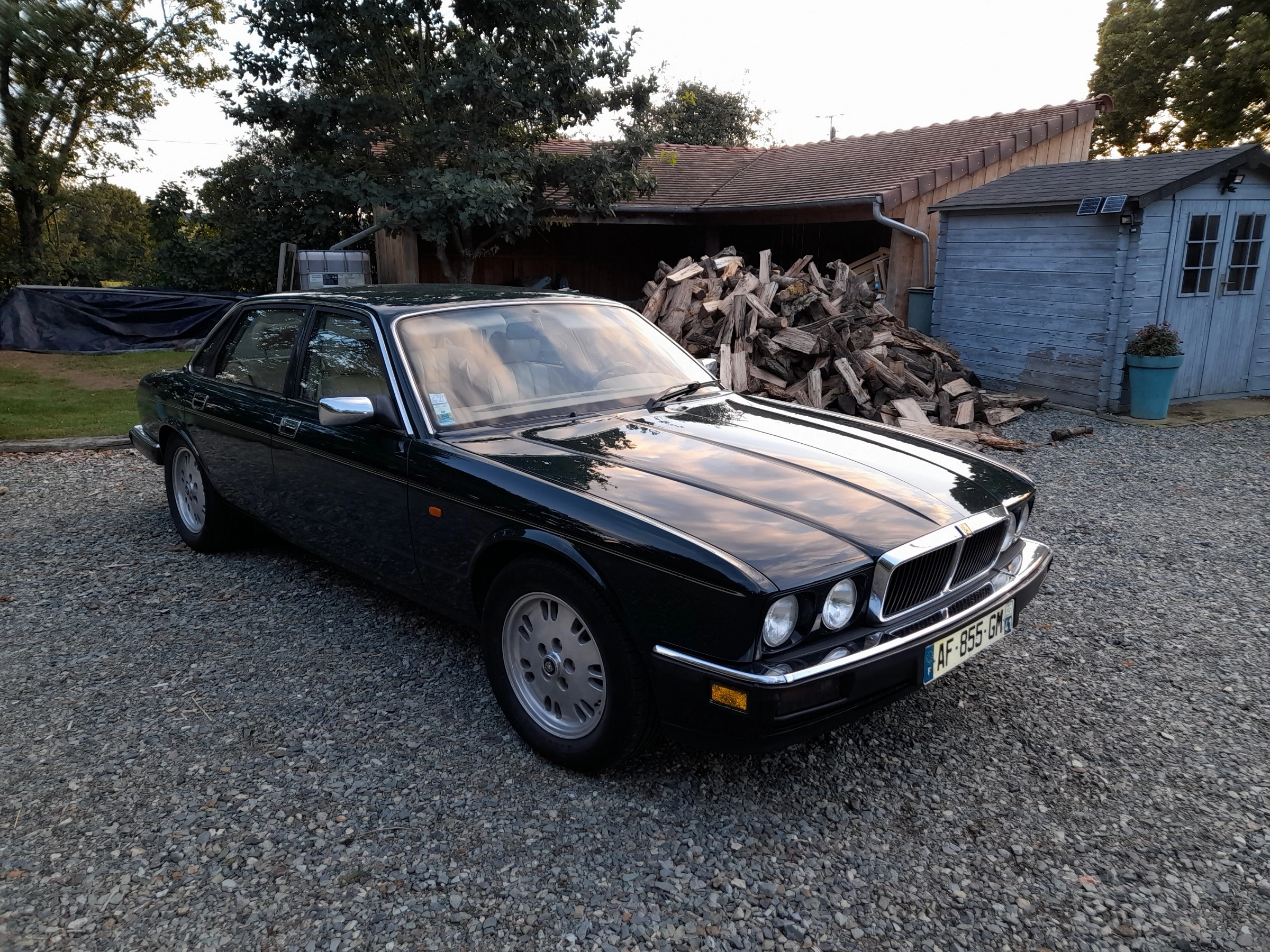 JAGUAR Xj40 6