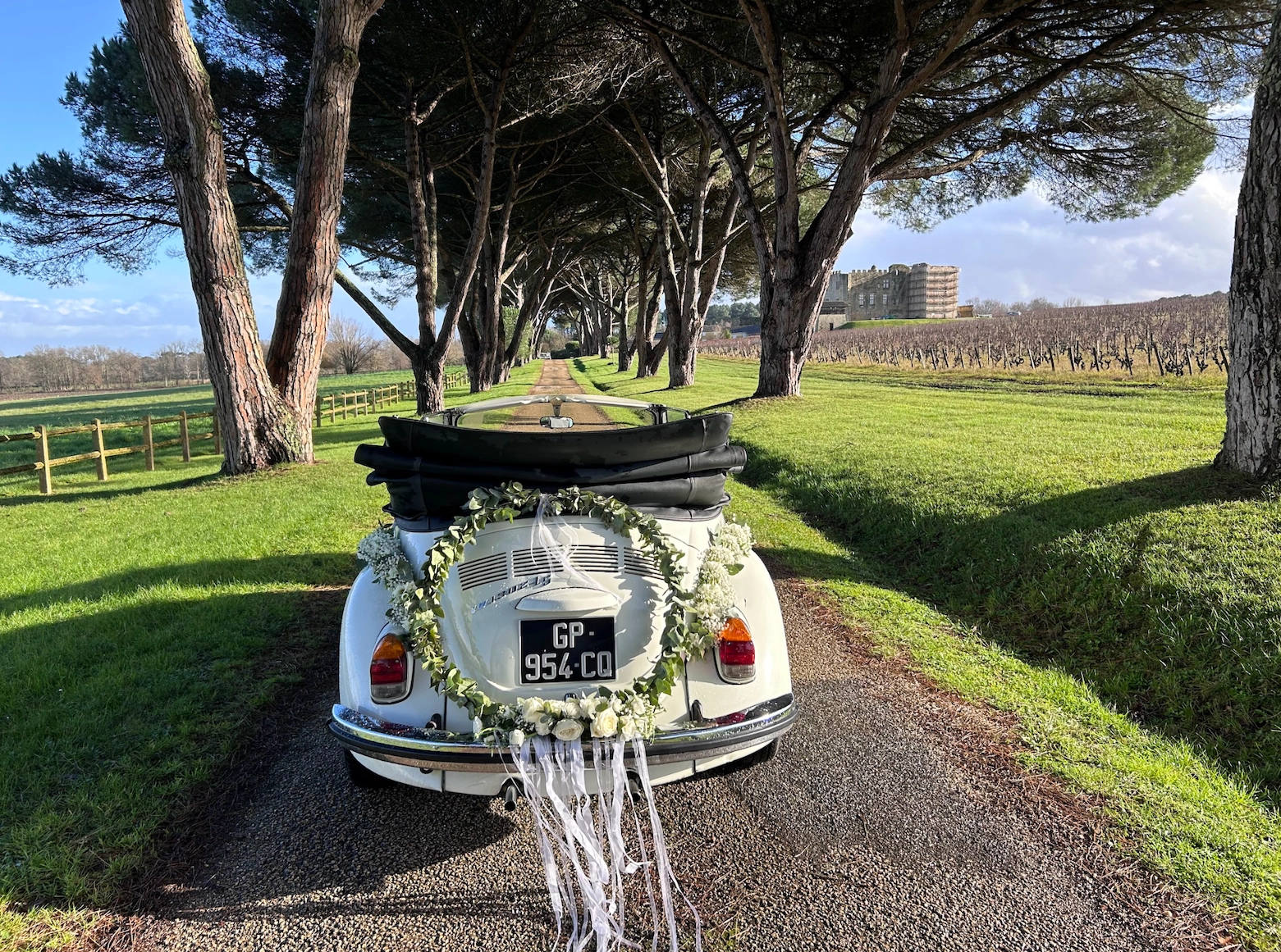 VOLKSWAGEN Coccinelle 4