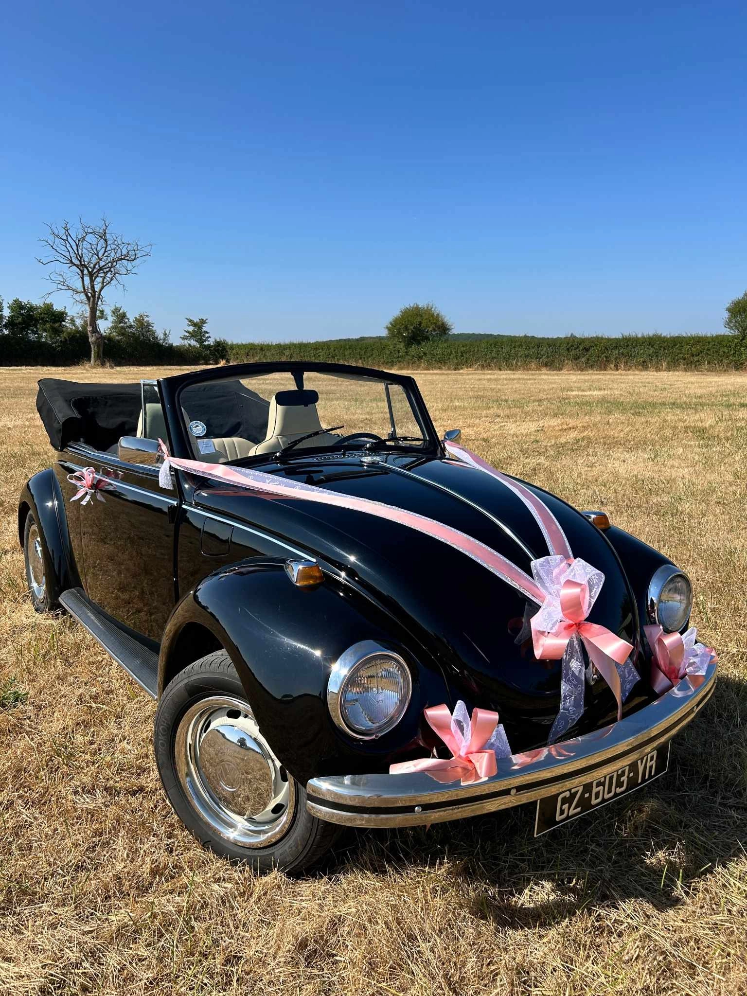 VOLKSWAGEN coccinelle 7