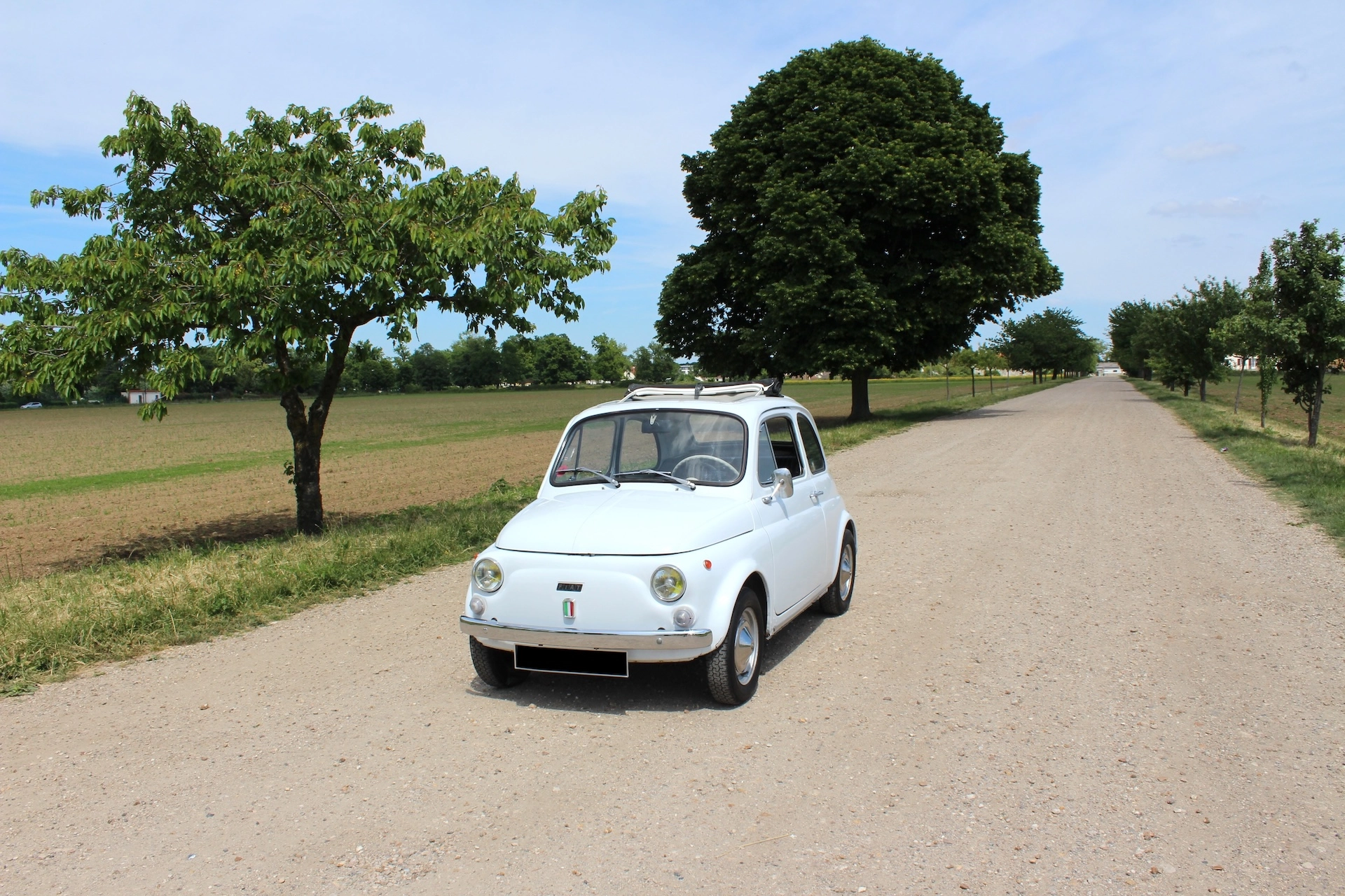 FIAT 500 7