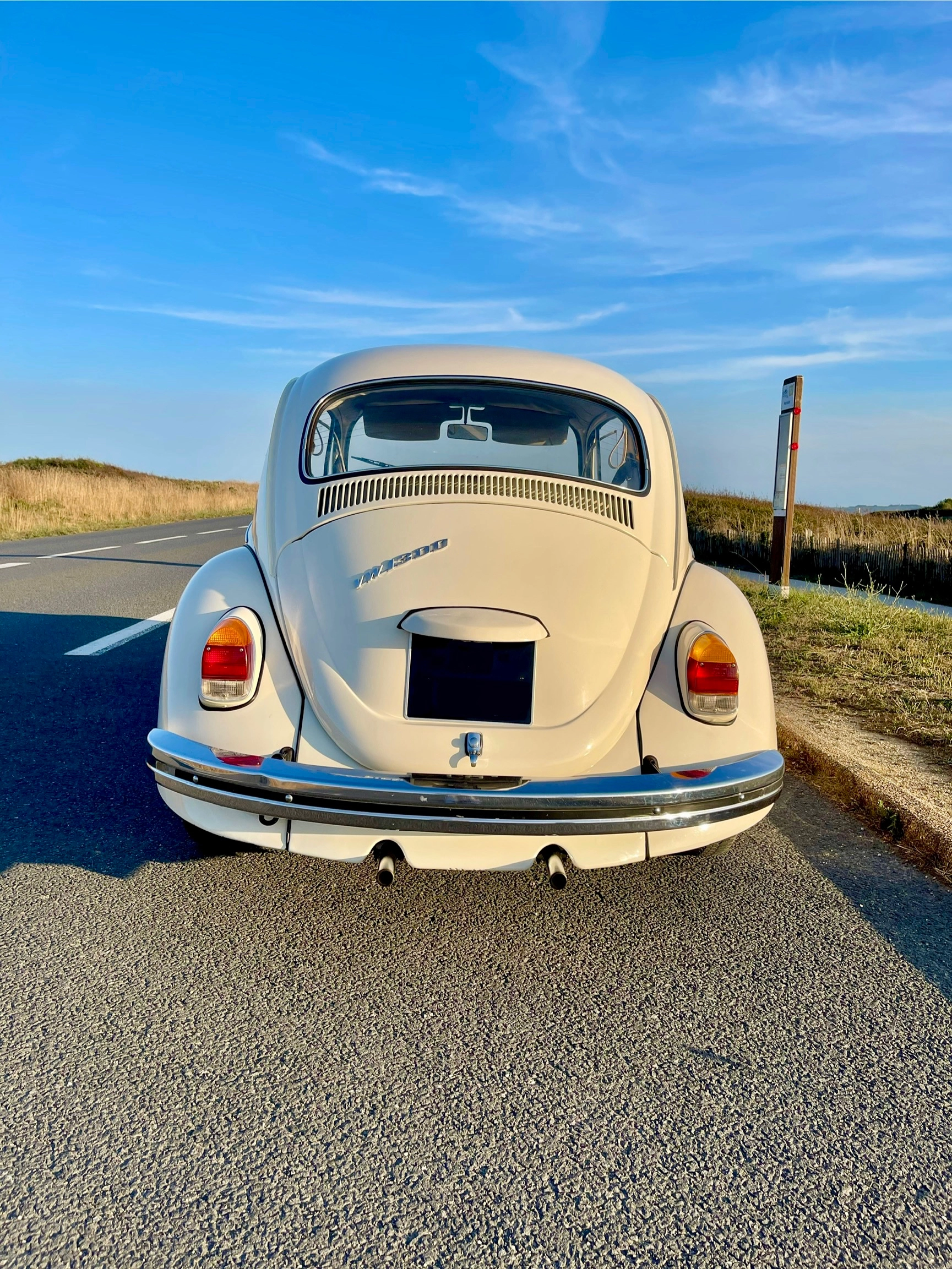 VOLKSWAGEN Coccinelle 2