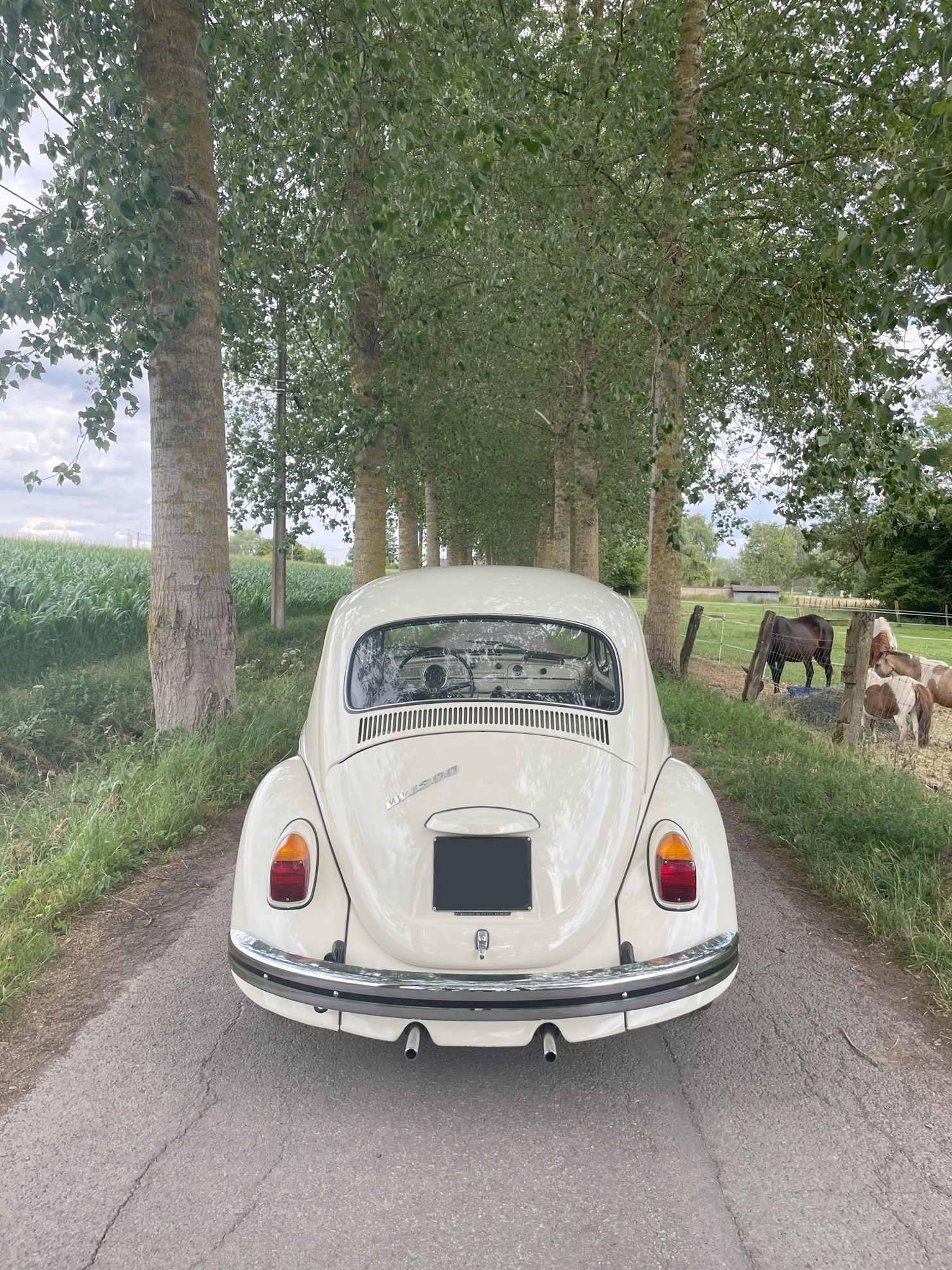 VOLKSWAGEN Coccinelle 4