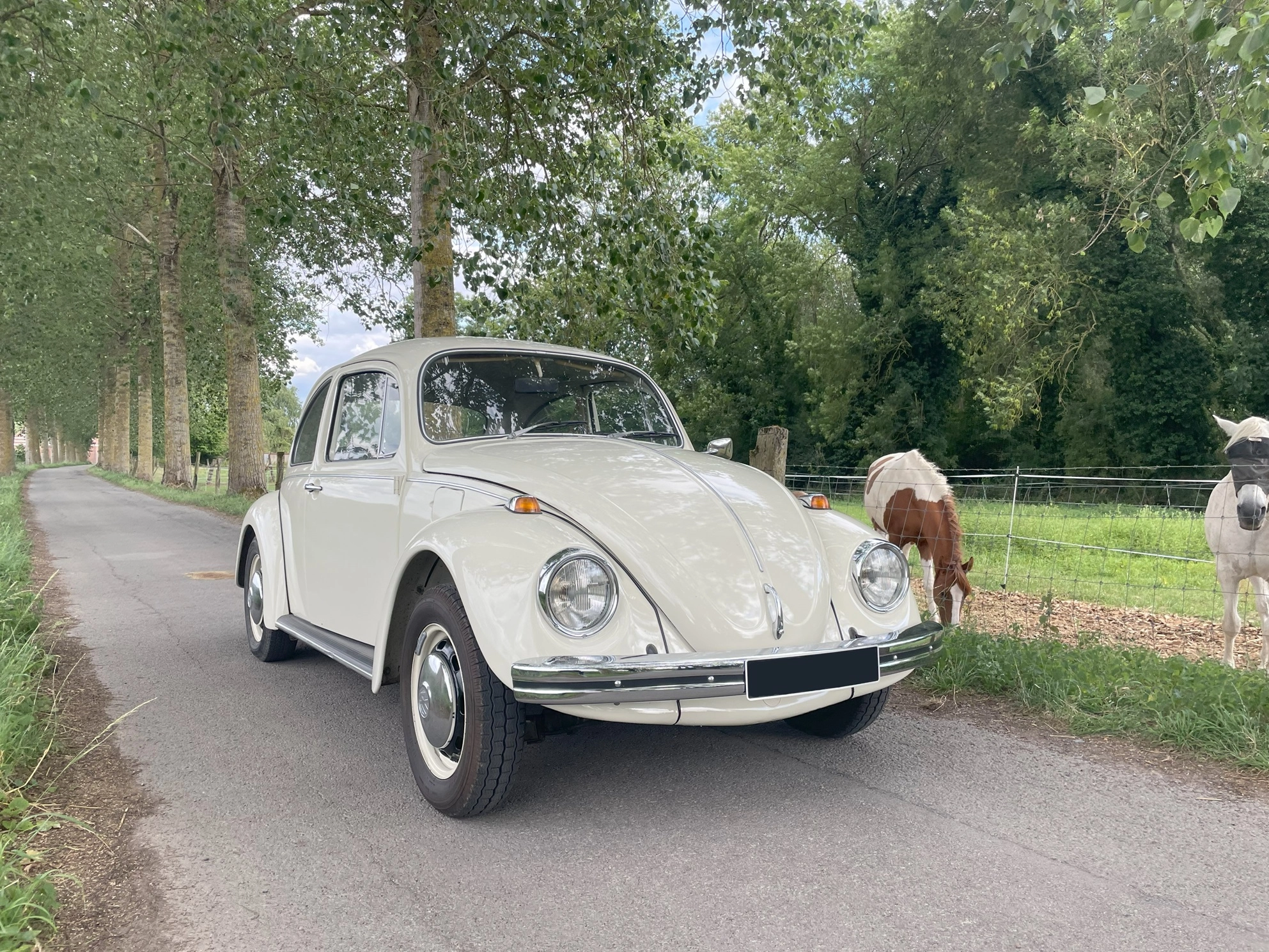 VOLKSWAGEN Coccinelle 3