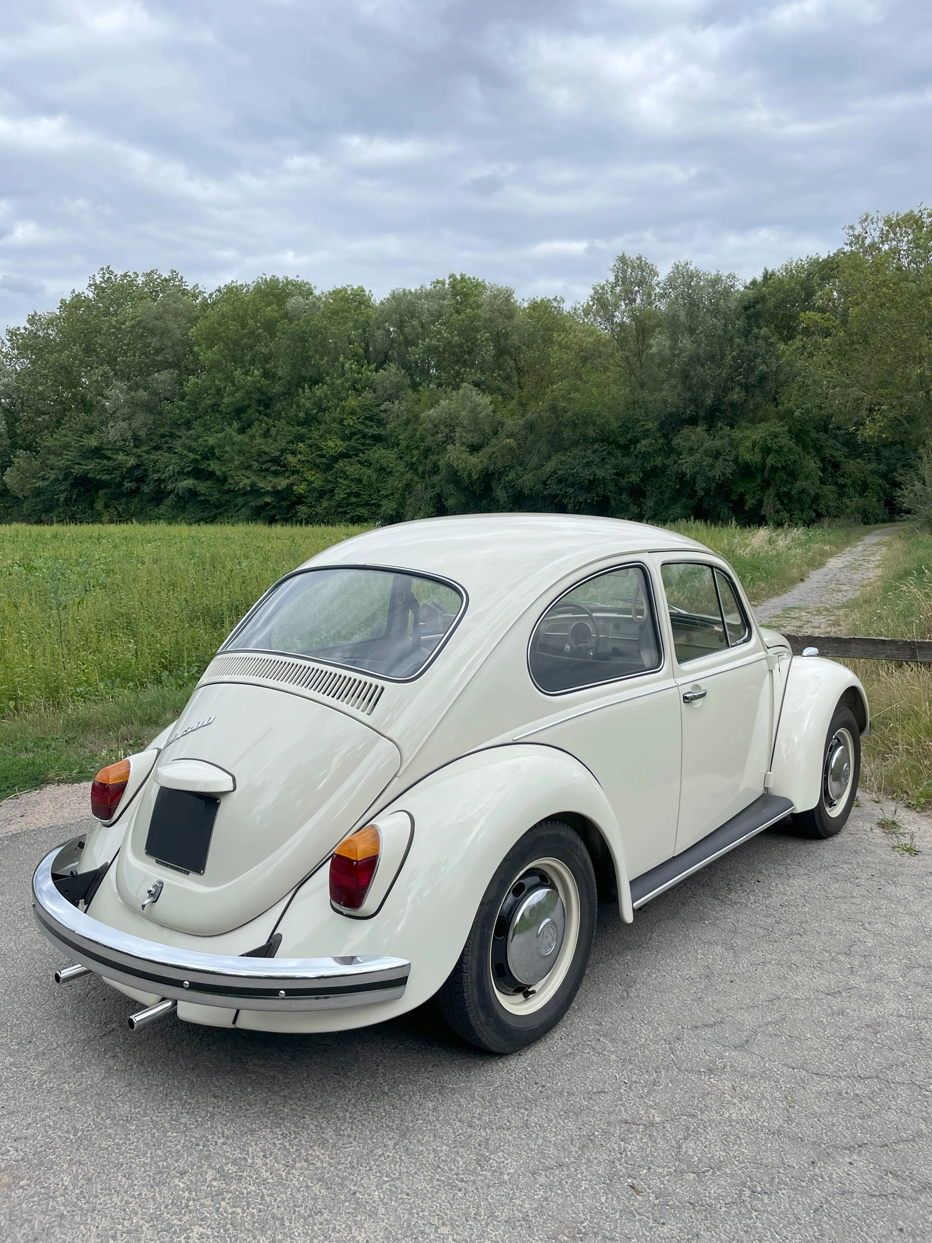 VOLKSWAGEN Coccinelle 6