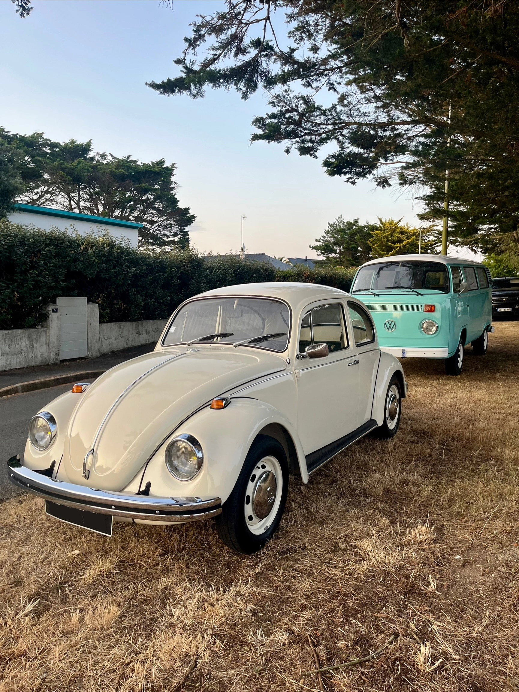 VOLKSWAGEN Coccinelle 3