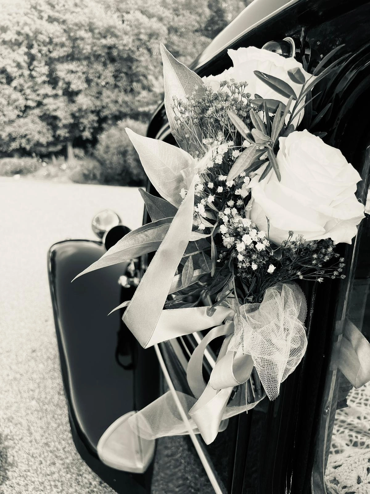 CITROEN "Traction" 11B 6