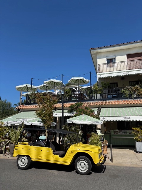 CITROEN Méhari Eden électrique  1