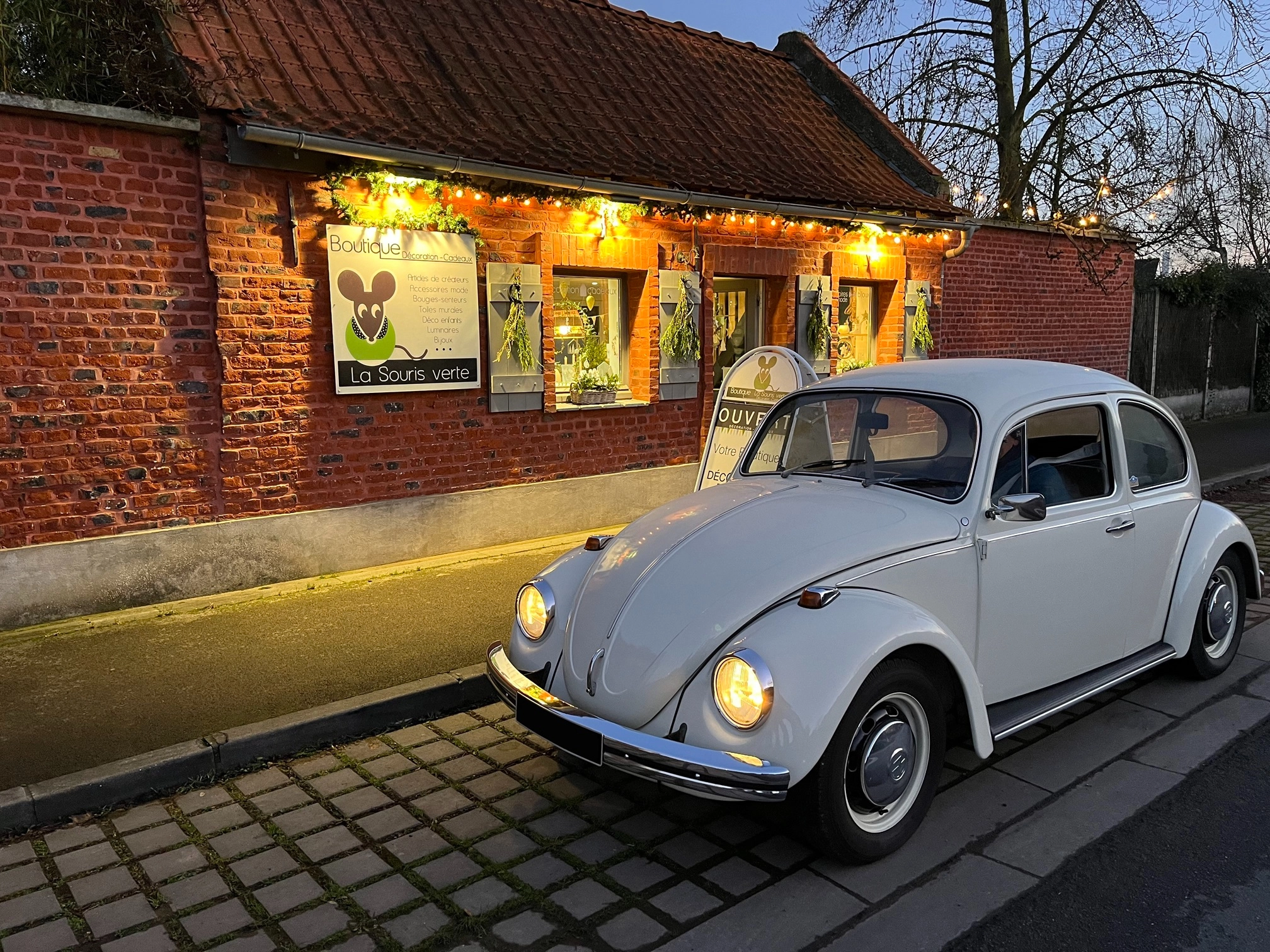 VOLKSWAGEN Coccinelle 8