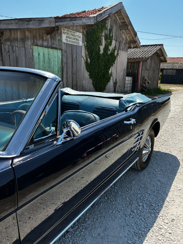 FORD Mustang  1
