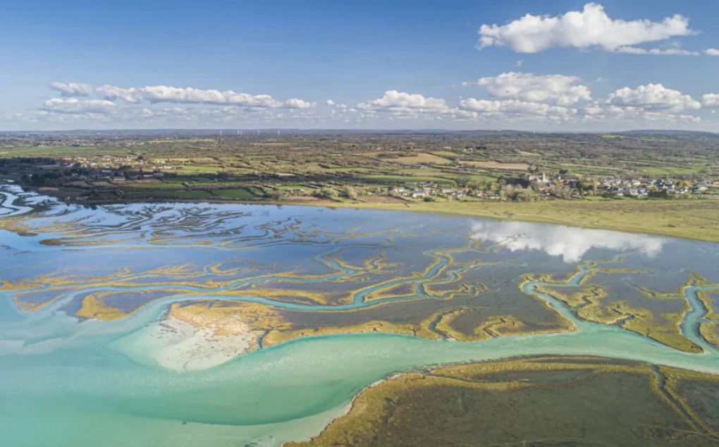 Location voiture ancienne Créances