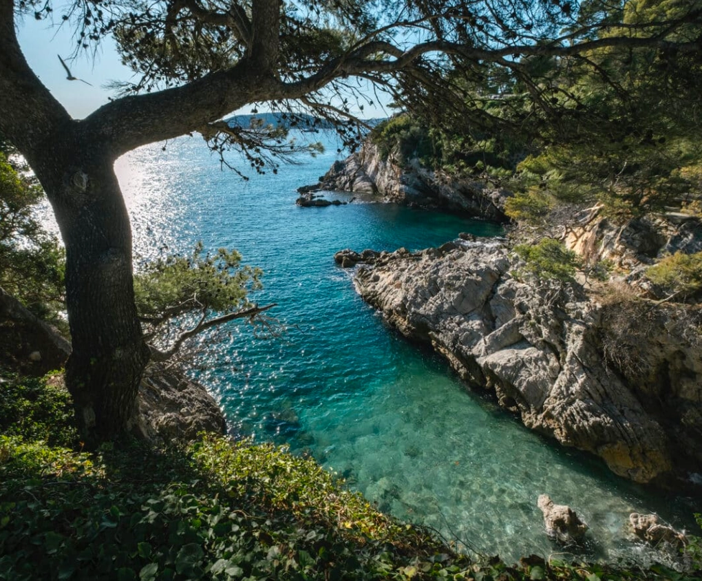 Location voiture ancienne Toulon