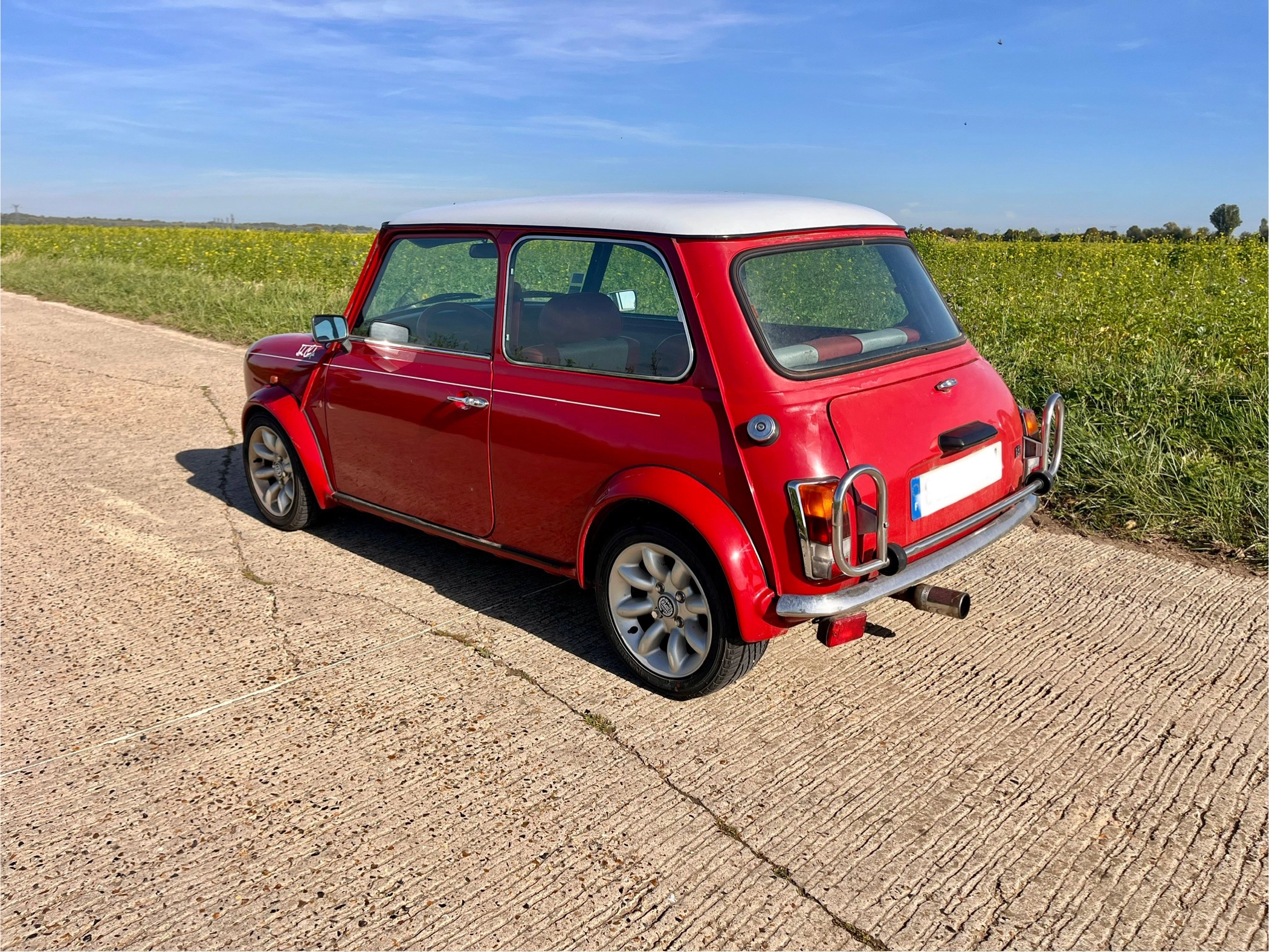MINI Monte Carlo  1