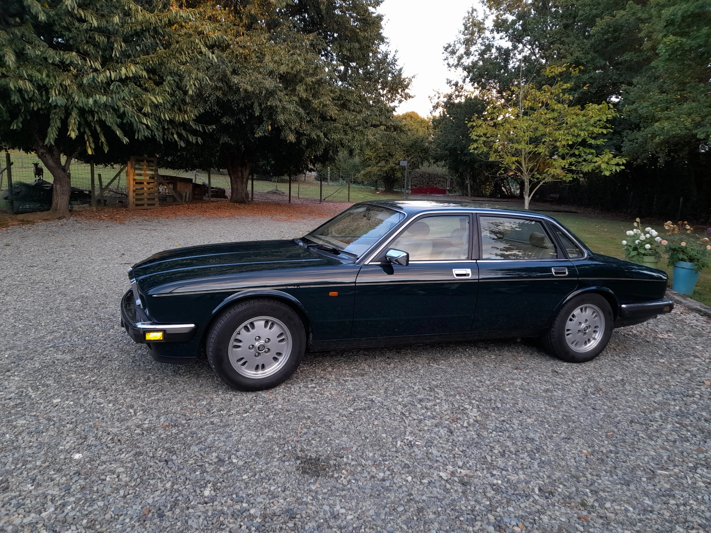 JAGUAR Xj40 1