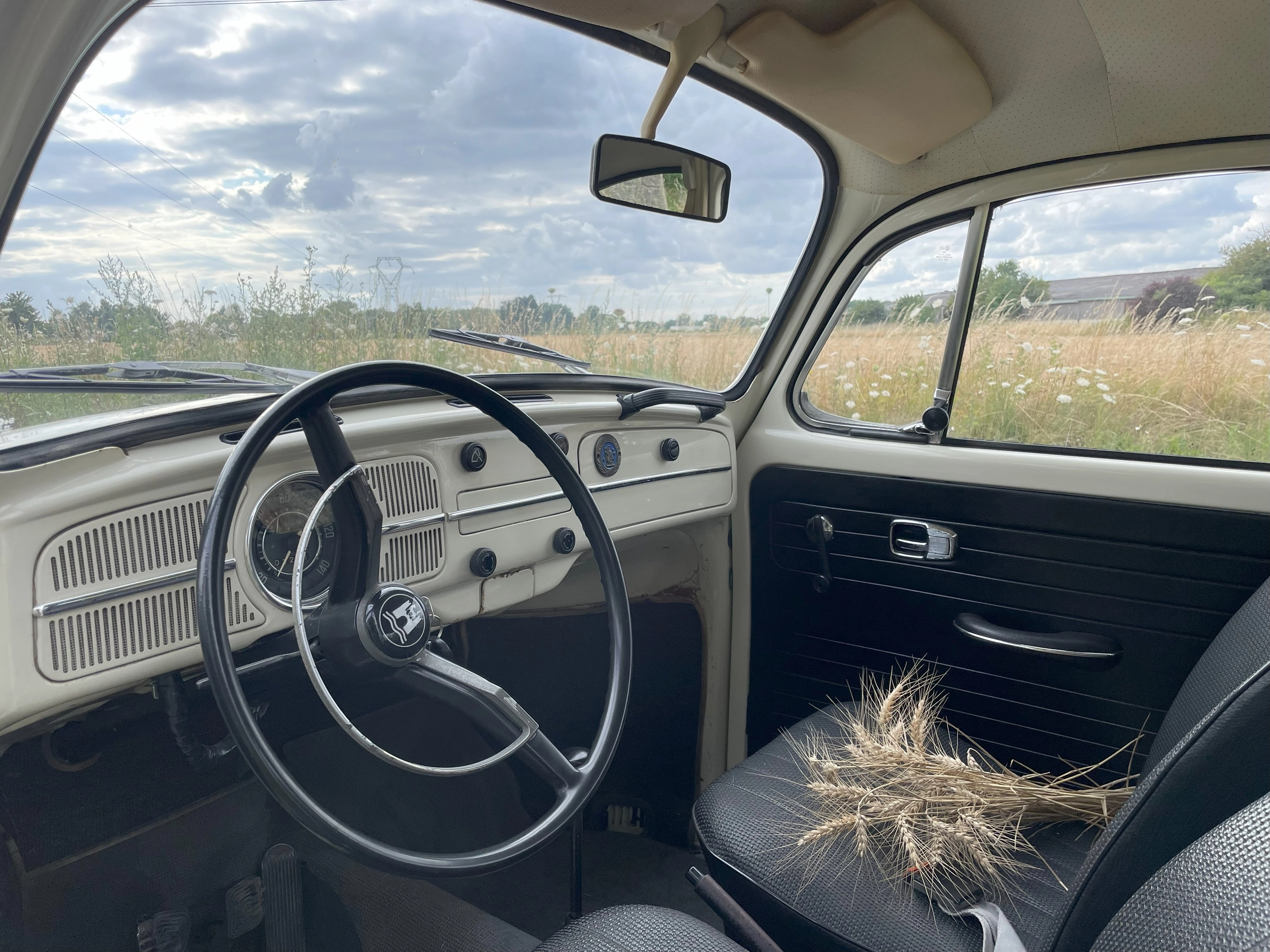 VOLKSWAGEN Coccinelle 5