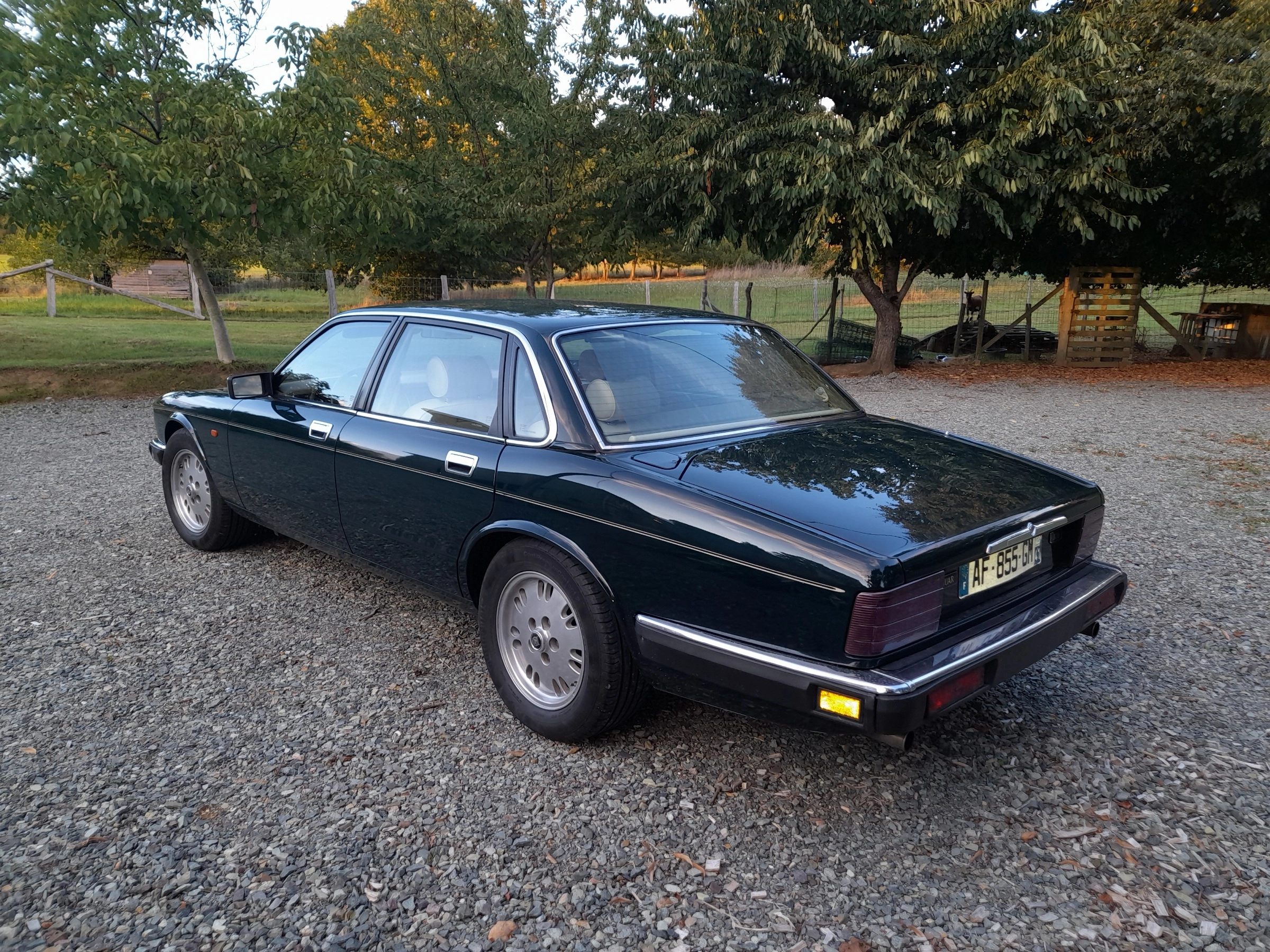 JAGUAR Xj40 2