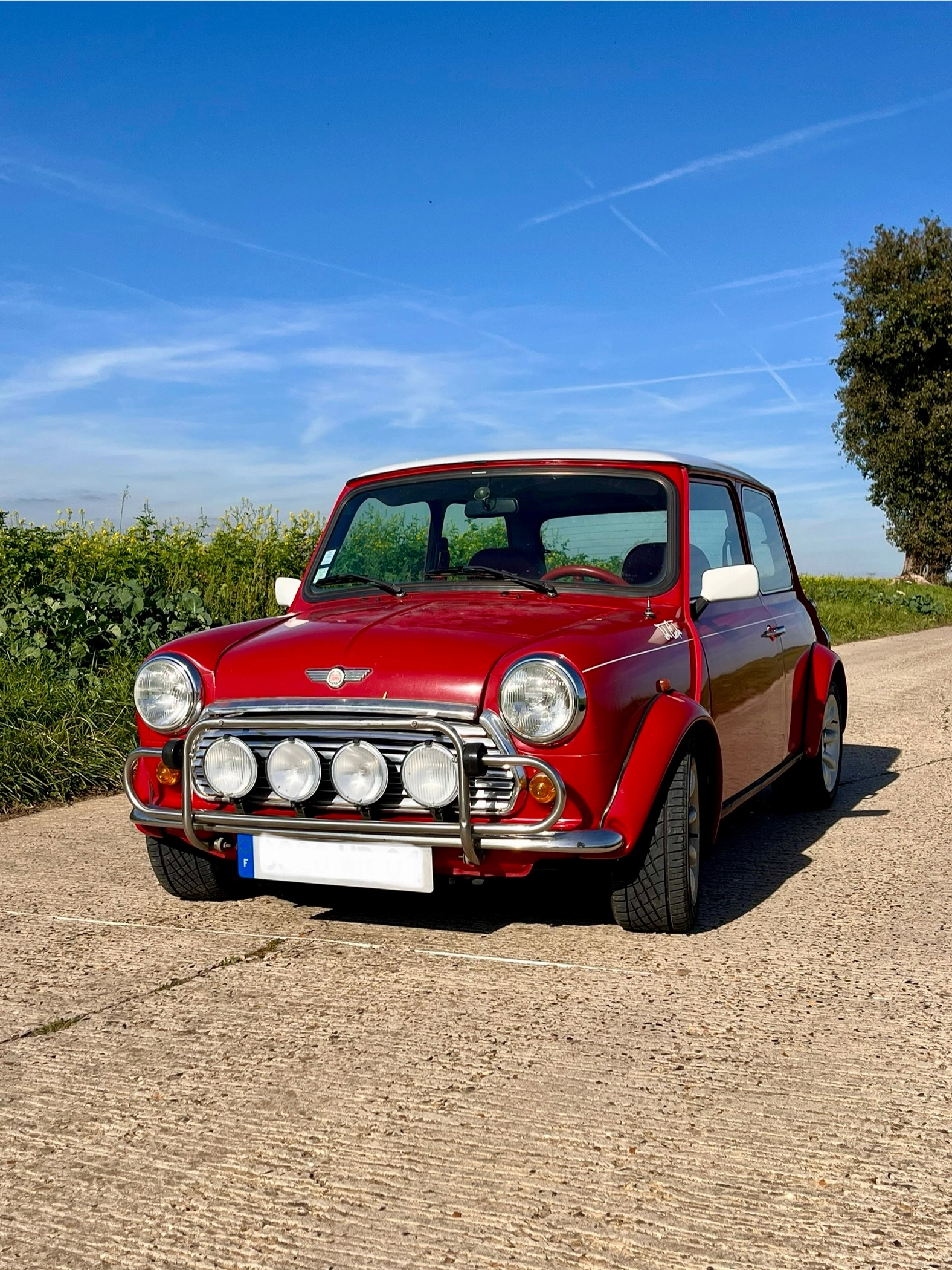 MINI Monte Carlo  3