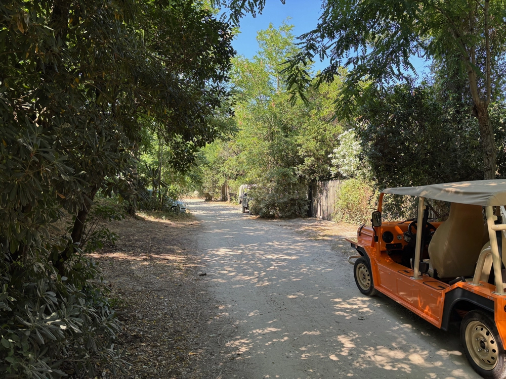 MINI Moke  6
