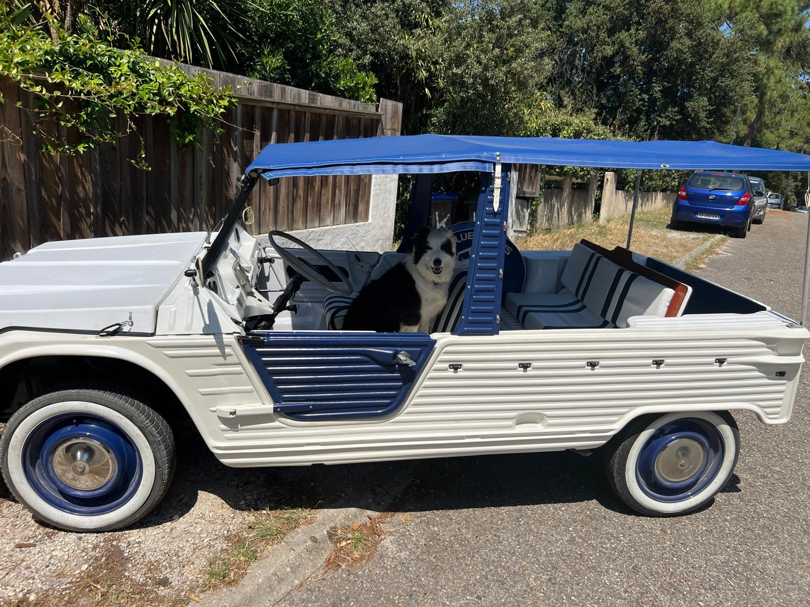 CITROEN Méhari 7