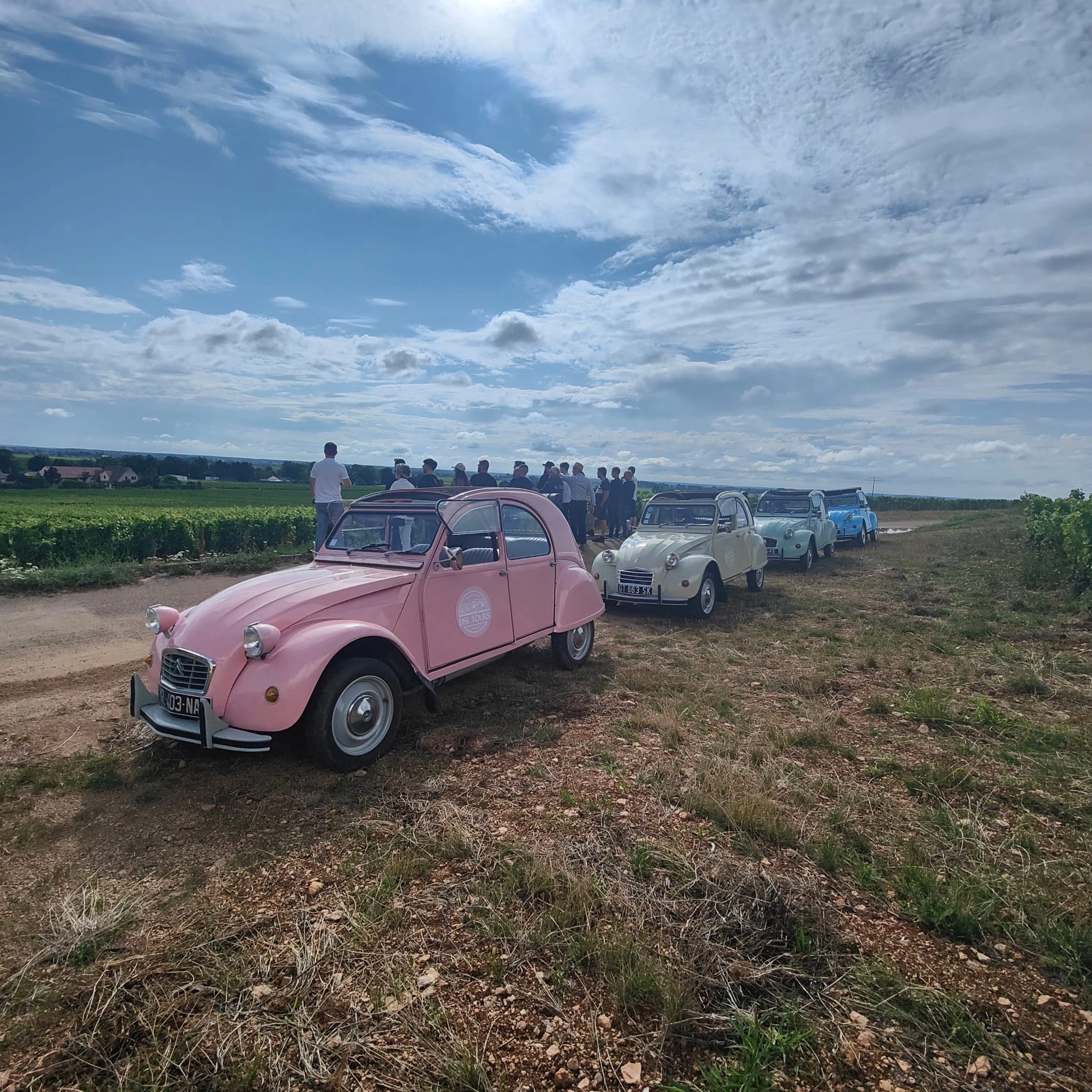 vehicle-owner